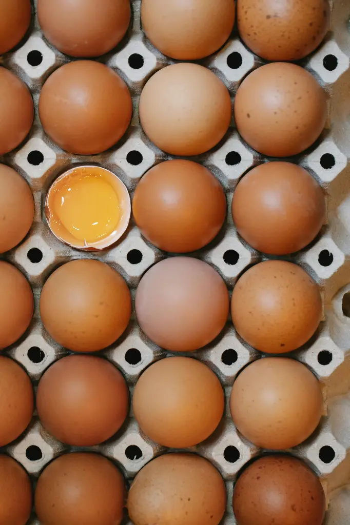 Fresh Farm Eggs (12pcs)