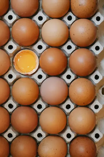 Fresh Farm Eggs (12pcs)